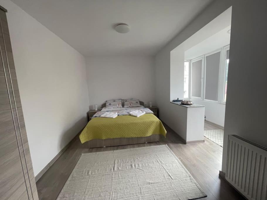 Lady M Apartment Σιγκισοάρα Εξωτερικό φωτογραφία